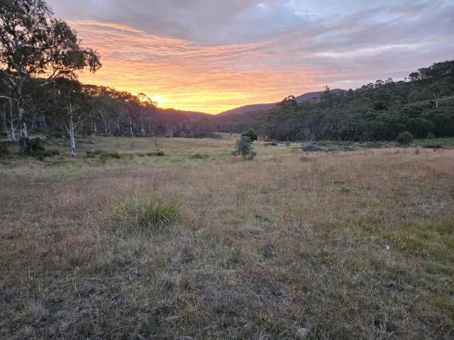 Land for sale in Bonang, Victoria