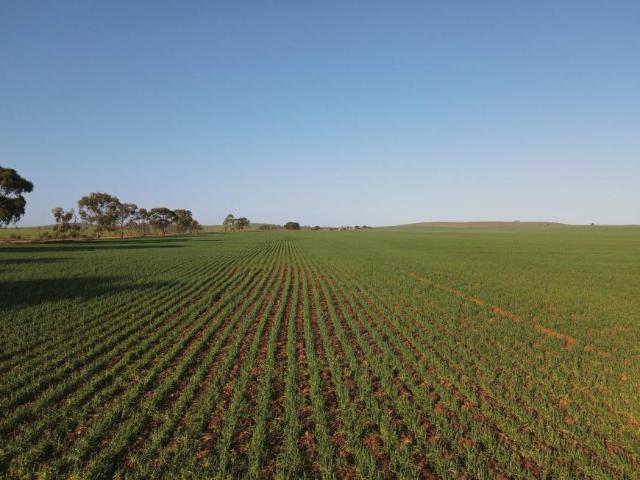 Land for sale in Booleroo Centre, South Australia