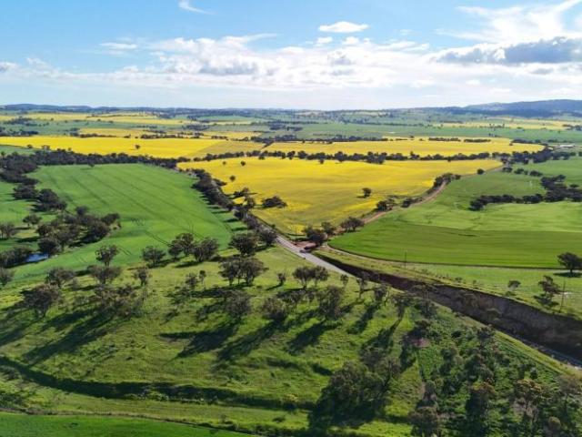 Land for sale in Booleroo Centre, South Australia