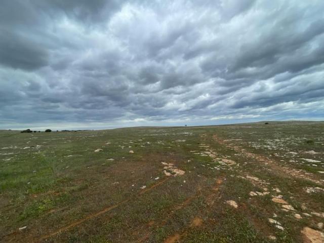 Land for sale in Bramfield, District Council of Elliston