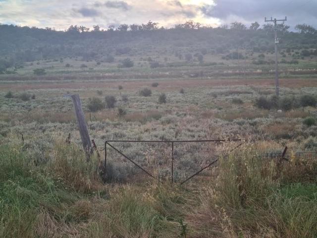 Land for sale in Breeza, New South Wales
