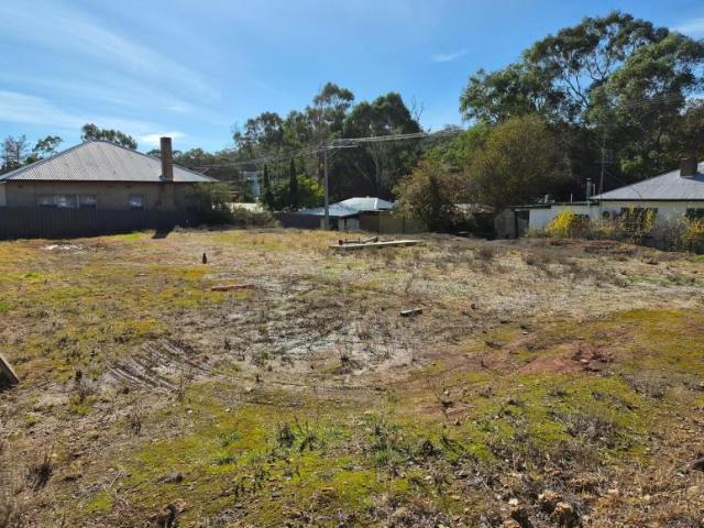 Land for sale in Clare, Clare and Gilbert Valleys Council