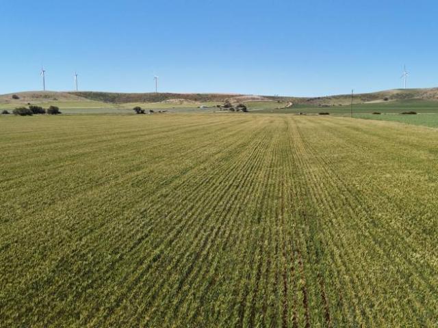 Land for sale in Clements Gap, Barunga West Council
