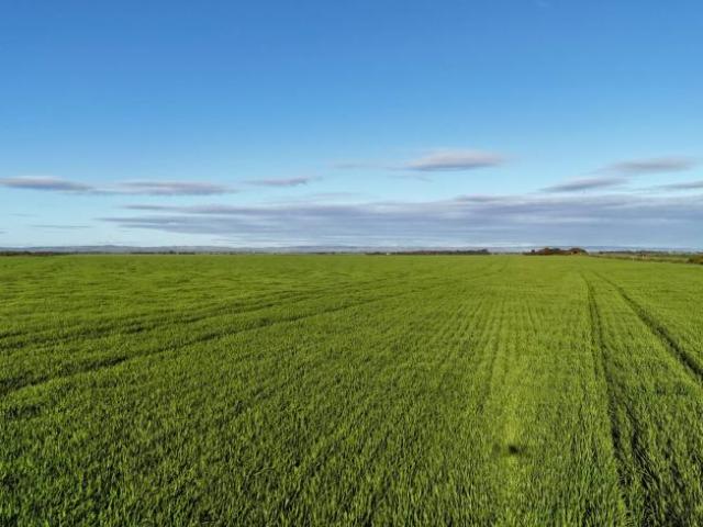 Land for sale in Condowie, South Australia