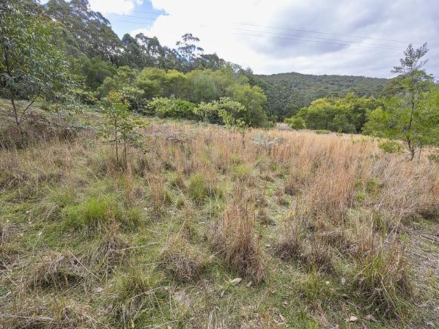 Land for sale in Coolongolook, New South Wales
