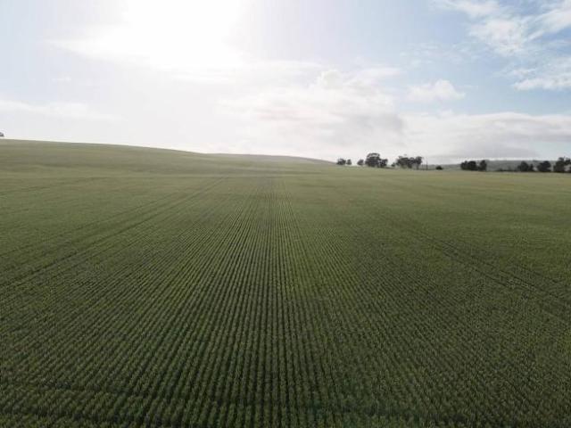 Land for sale in Crystal Brook, South Australia