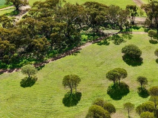 Land for sale in Daliak, Shire Of York