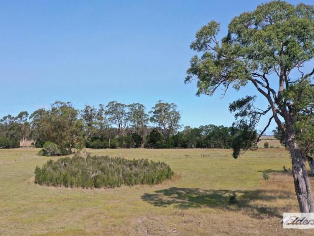 Land for sale in Devon North, Shire of Wellington
