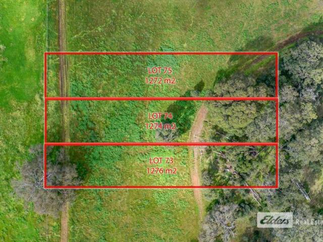 Land for sale in Donnybrook, Shire Of Donnybrook-Balingup