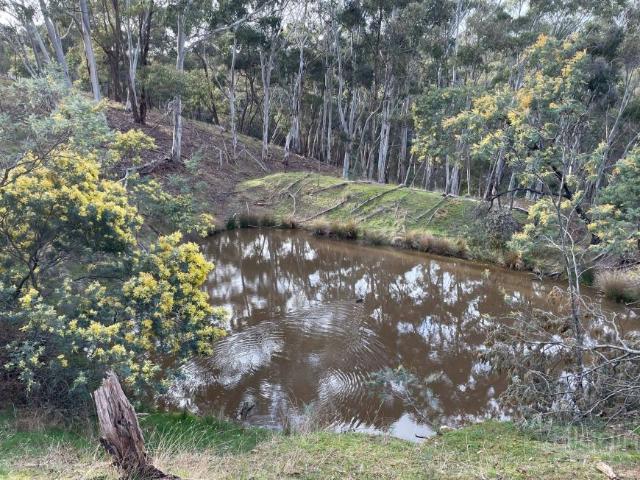 Land for sale in Dry Diggings, Victoria