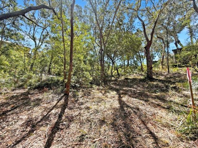 Land for sale in Timbarra Estate, Dunbogan