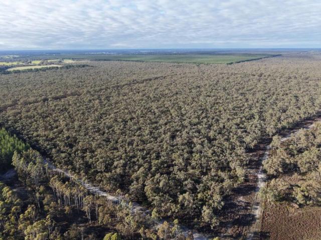 Land for rent in Edenhope, Victoria