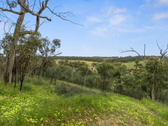 Land for sale in Emu Flat, Clare and Gilbert Valleys Council