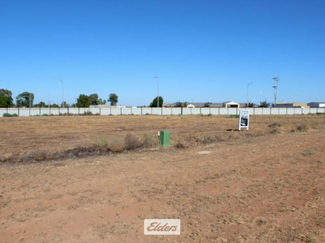 Land for sale in Euston, Balranald Shire Council