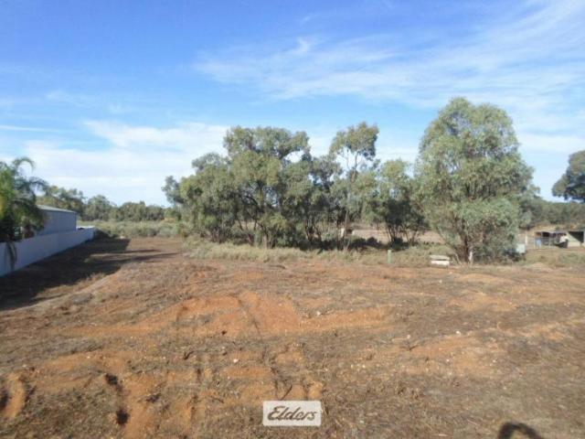 Land for sale in Euston, Balranald Shire Council
