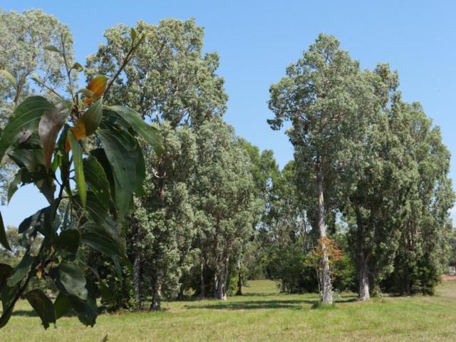 Land for sale in Hinchinbrook, Queensland