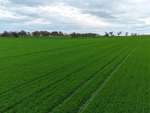 Land for sale in Gladstone, South Australia