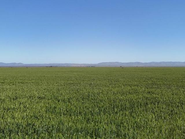 Land for sale in Hammond, The District Council of Mount Remarkable