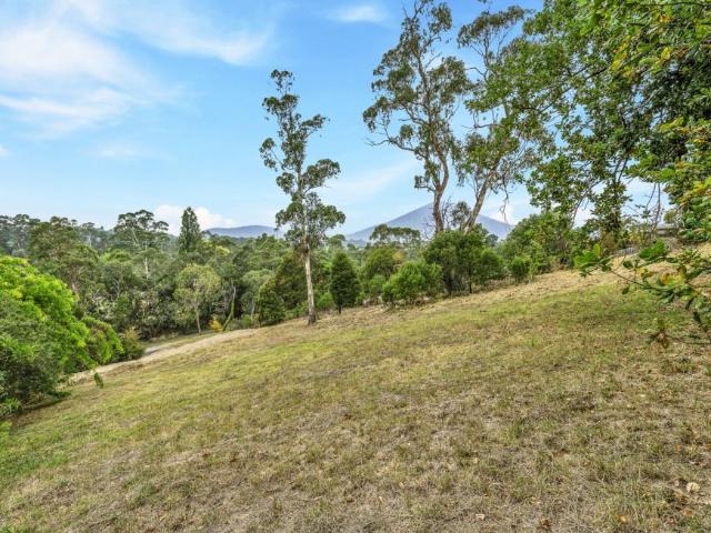 Land for sale in Camerons Creek, Victoria