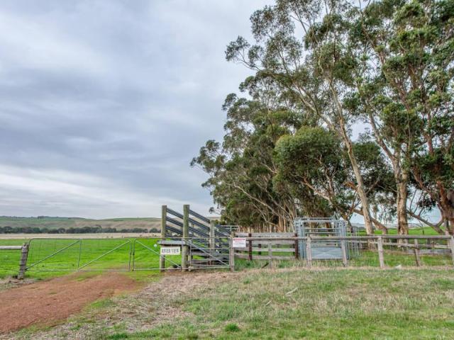 Land for rent in Henty, Victoria