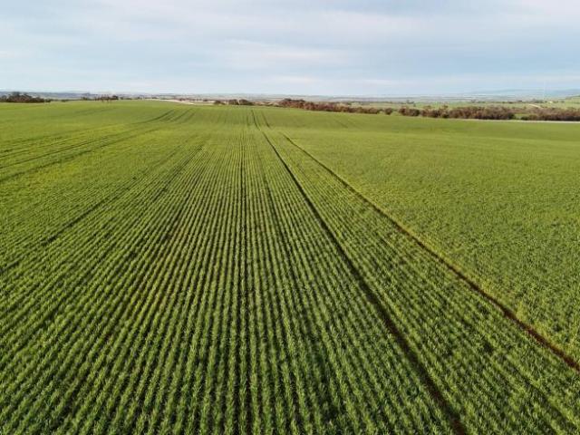 Land for sale in Huddleston, Northern Areas Council
