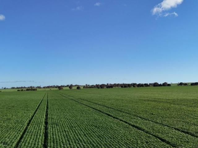 Land for sale in Huddleston, Northern Areas Council