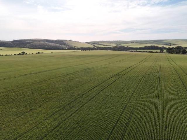 Land for sale in Huddleston, Northern Areas Council