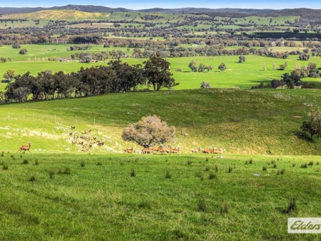 Land for sale in Indigo Valley, Shire of Indigo