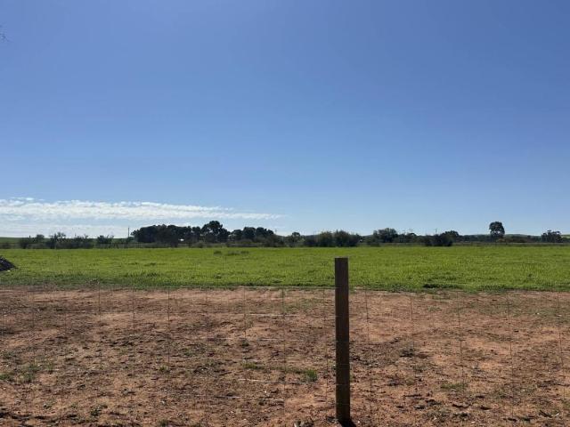 Land for sale in Jamestown, South Australia