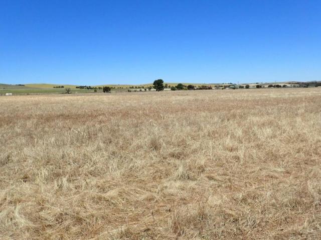 Land for sale in Jamestown, South Australia