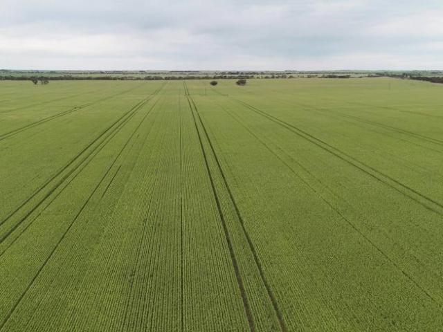 Land for sale in Kainton, Yorke Peninsula Council