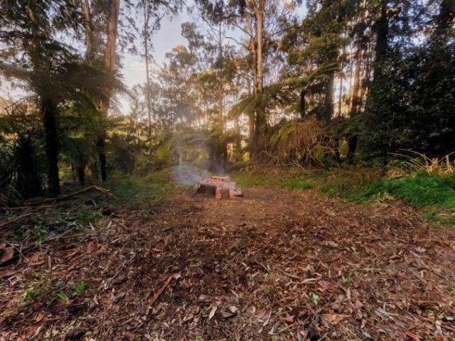 Land for sale in Camerons Creek, Victoria