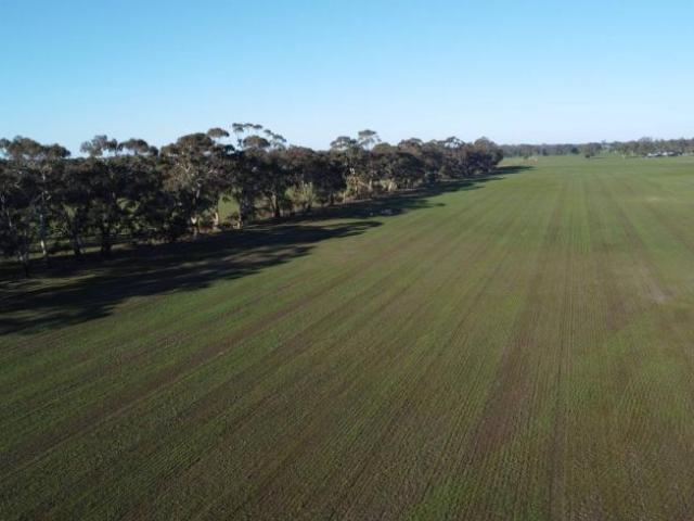 Land for rent in Karnak, Victoria