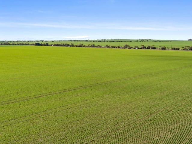 Land for sale in Koolywurtie, Yorke Peninsula Council