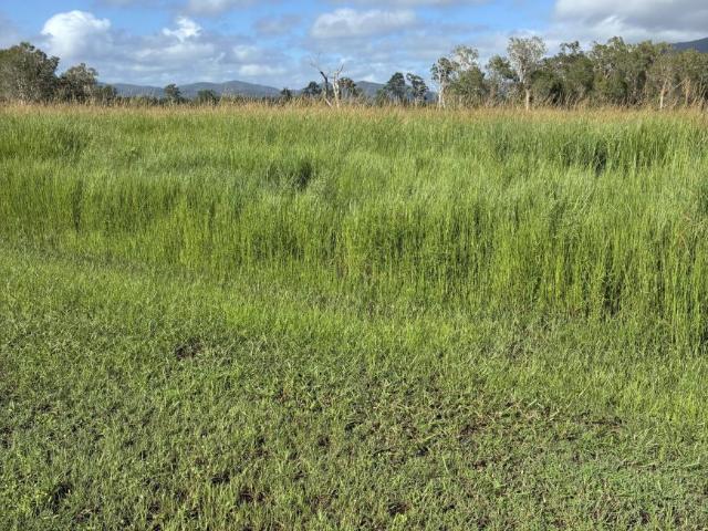 Land for sale in Koumala, Queensland