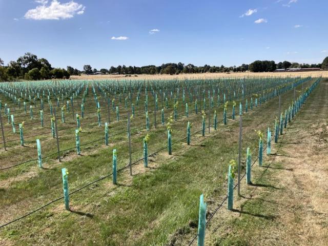 Land for sale in Kyneton, Shire of Macedon Ranges