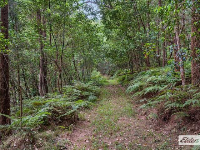 Land for sale in Limpinwood, Tyalgum