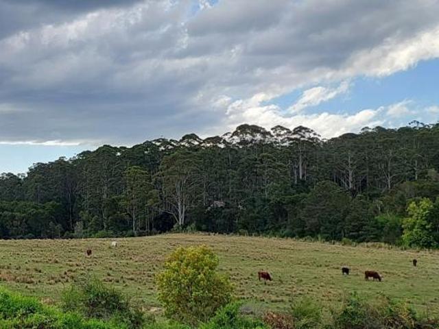 Land for sale in Lowanna, New South Wales