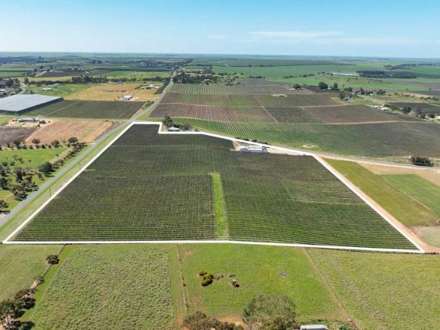 Land for sale in Loxton, The District Council of Loxton Waikerie