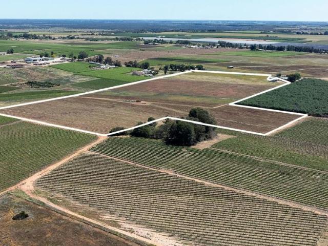 Land for sale in Loxton, The District Council of Loxton Waikerie