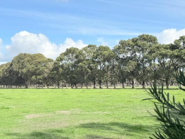 Land for sale in Marbelup, Albany
