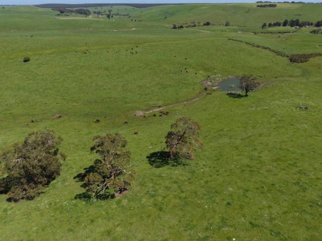 Land for rent in Merino, Shire of Glenelg