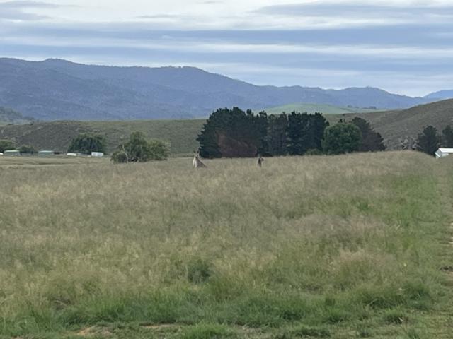 Land for sale in Michelago, New South Wales