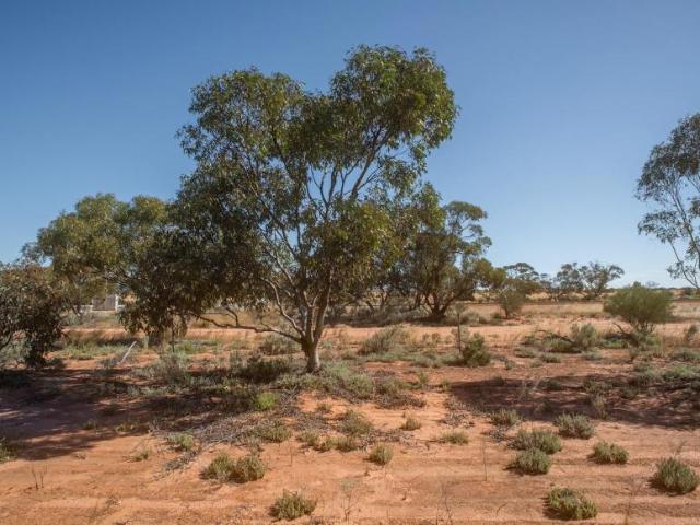 Land for sale in Barbalin, Shire Of Mukinbudin