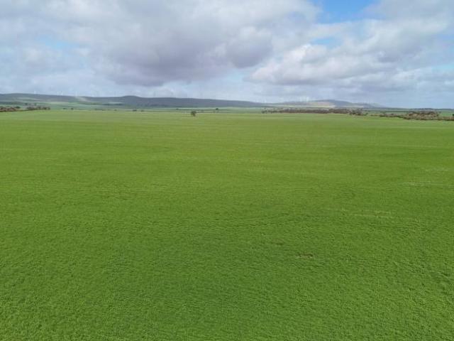 Land for sale in Mundoora, Barunga West Council