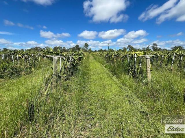 Land for sale in Munna Creek, Fraser Coast Regional