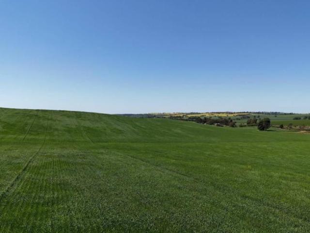 Land for sale in Murray Town, South Australia
