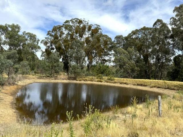 Land for sale in Neville, Blayney Shire Council
