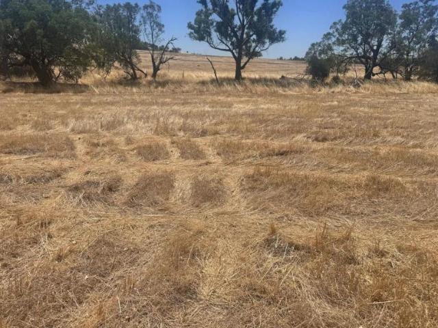 Land for sale in Northam, Shire Of Northam
