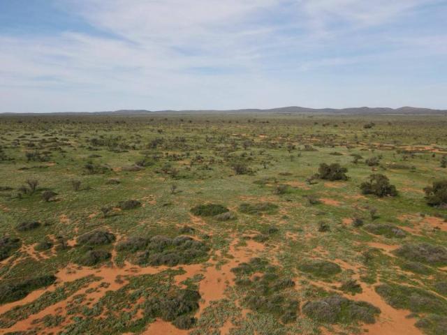 Land for sale in Orroroo, South Australia